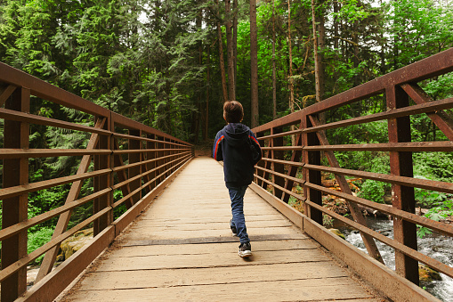 A young boy explores the lush green forest during a summer hike. Kid walking across a rustic wooden bridge, surrounded by tall trees and vibrant foliage