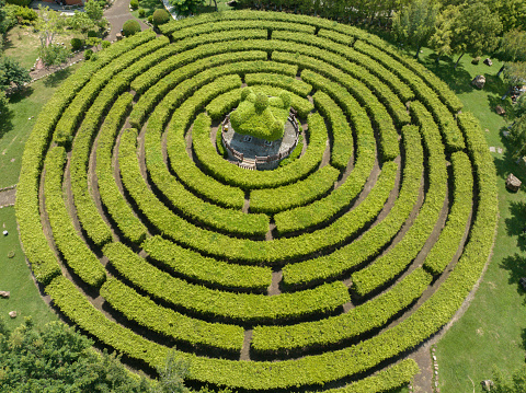 selective focus on general view of the labyrinth shaped like grass on the ground among the trees