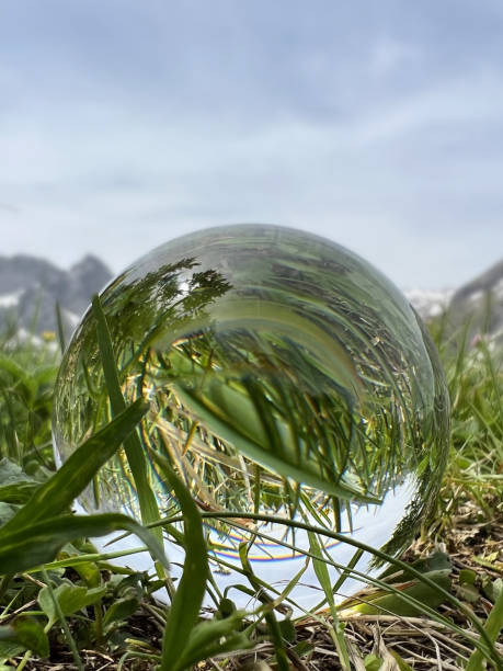 Lensball with grass reflections in the Austrian Alps. stock photo