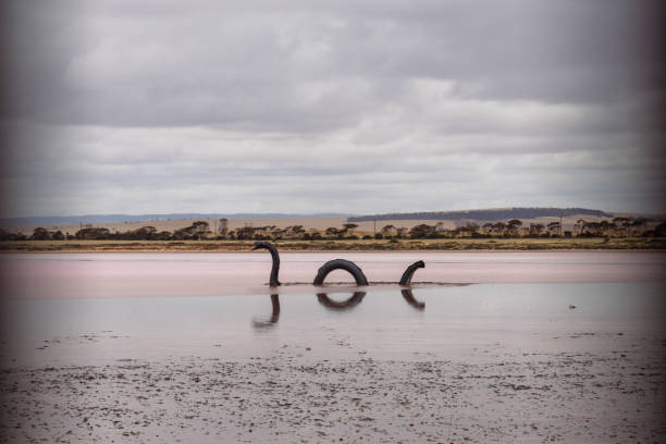 istock places in yorke peninsula 1501001010
