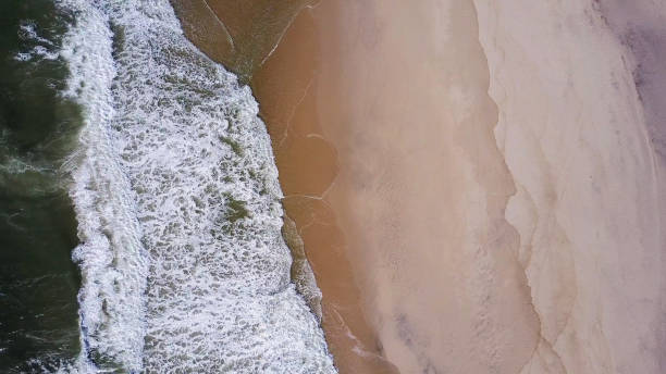istock Ocean waves crashing on beach 1501001542