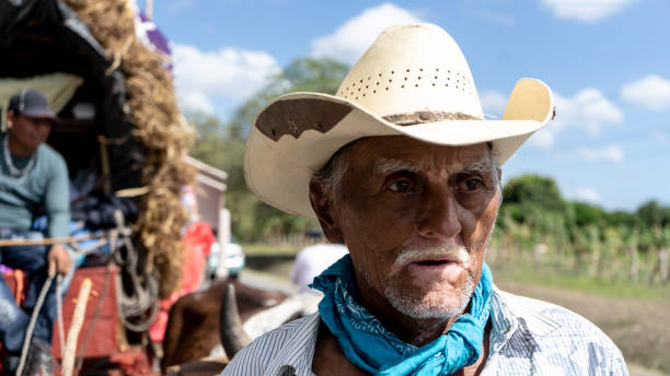istock Old peasant with vitiligo driving a cart 1501006411