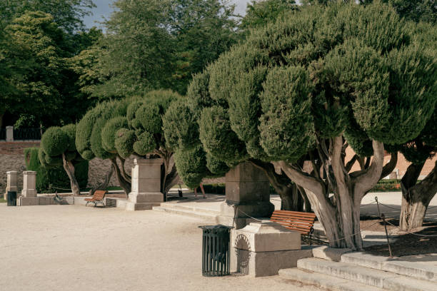 Garden in Madrid Spain