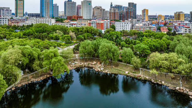 istock China Changchun Yuhua Garden summer scenery 1501011578
