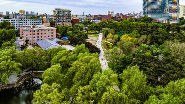 istock China Changchun Yuhua Garden summer scenery 1501011620