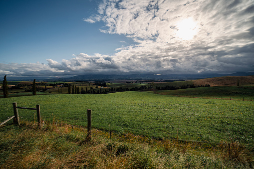 Farm land New Zealand