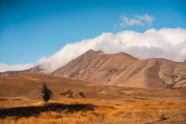 Scenic Valley New Zealand