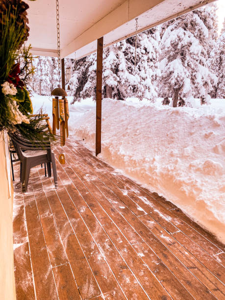 istock Front Porch in Winter 1501021770