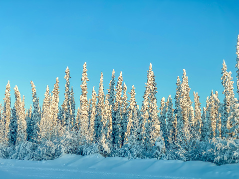 Picture of the the many scenes Alaska has to offer during the winter season.