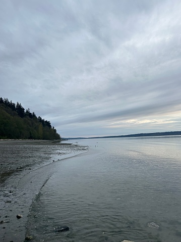 Rock formations on the Pacific Northwest’s Ruby Beach