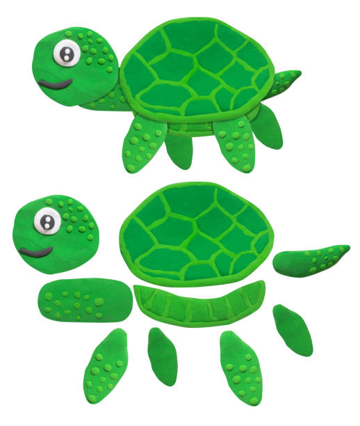 istock smile green turtle made from plasticine and object for graphic designer use on white background 1501033579