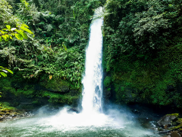 istock Waterfall in a tropical rainforest, Indonesia 1501036184