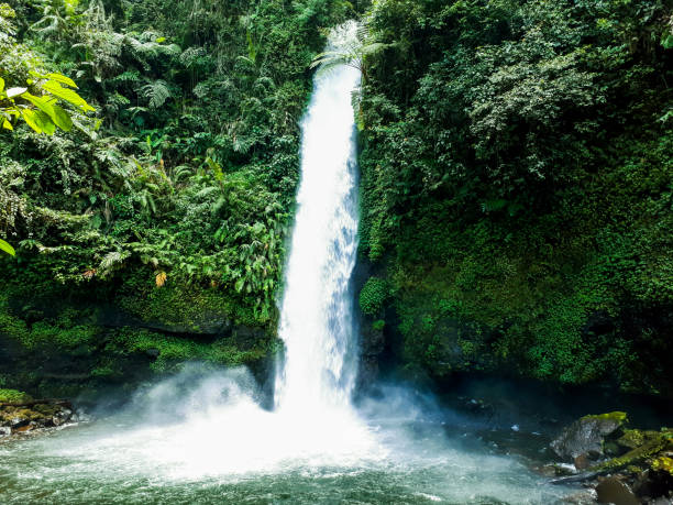 istock Waterfall in a tropical rainforest, Indonesia 1501036363