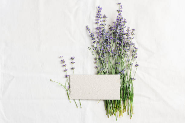 istock Blank card mockup, lavender flowers. 1501036380