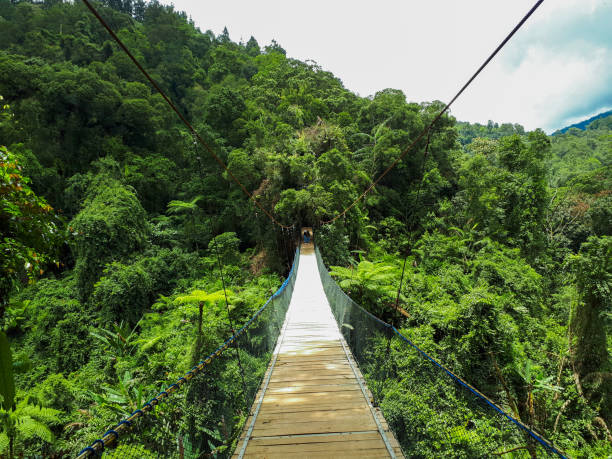 istock Situ Gunung Suspension Bridge, Indonesia 1501038204