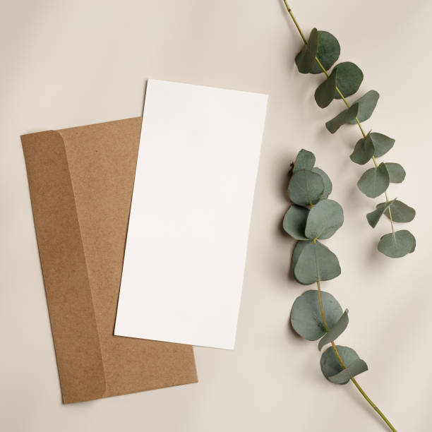 istock Blank paper card mock up and craft envelope, eucalyptus plant on beige table. White empty letter or invitation, sunlight, beautiful soft shadow. Minimal lifestyle photo. Flat lay, top view, copyspace 1501044807