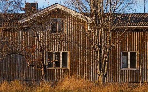 abandoned wooden haunted house with bare trees