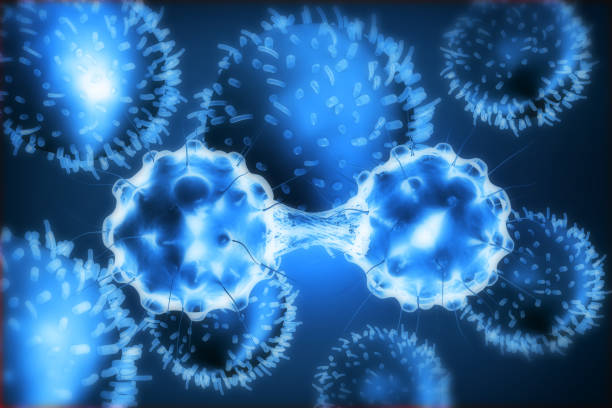 Hepatitis virus infection in human liver. 3d illustration