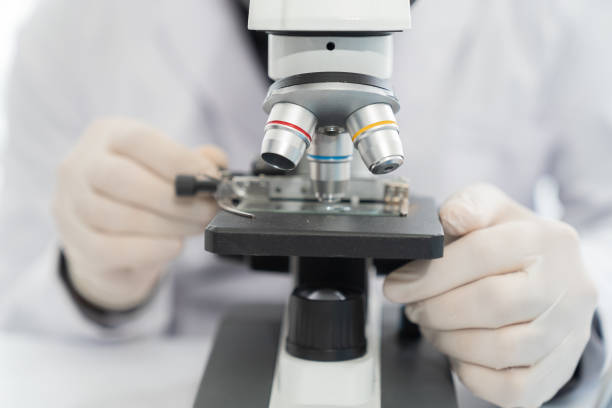istock Hands of scientist working with microscope doing analysis and test sample in the laboratory 1501047179