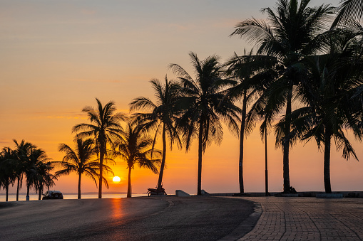 Palm trees line the beach at sunrise.