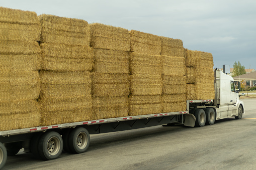 Truck transports hay