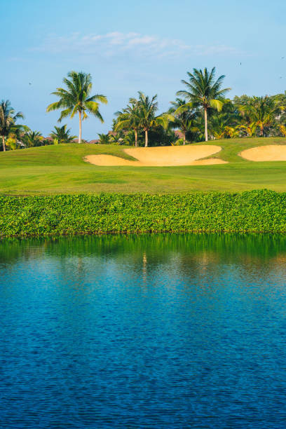 A golf course with palm trees in the background