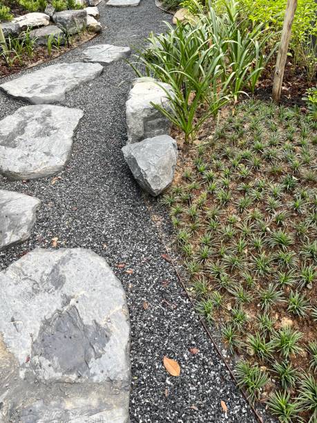 istock Walkway in the garden 1501052342