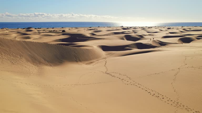 Aerial view of Maspalomas Dunes in Gran Canaria, Canary islands, Spain