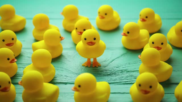 Stop-motion video of a group of many yellow rubber ducks looking at a yellow duck standing up.