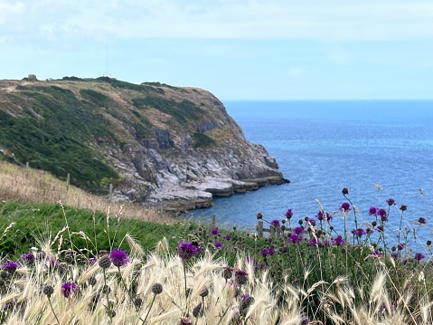 The cliffs and sea at Berry Head Brixham. Part of the South West coastal path
