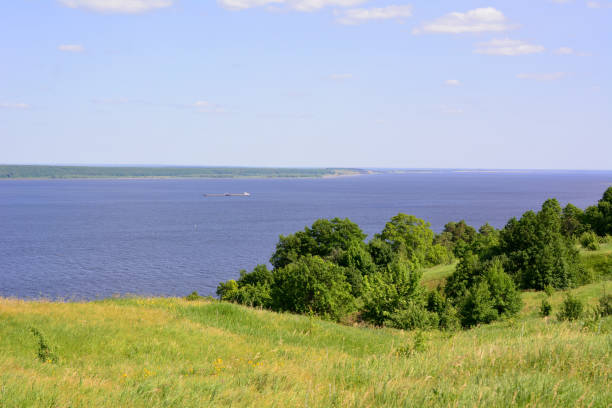 istock green hill with group of trees and river on background, copy space 1501066902