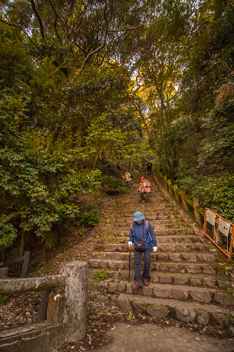 Osaka, Japan - November 13, 2017: A group of elderly people are doing hiking or mountain climbing activities in a natural forest in Japan. Concept for Friendship, Loyal, Faithfulness, Happiness, Slow Life.