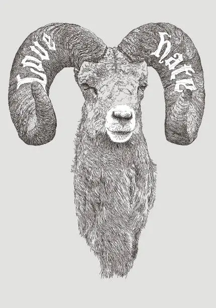 Vector illustration of Bighorn Ram Love & Hate Sheep