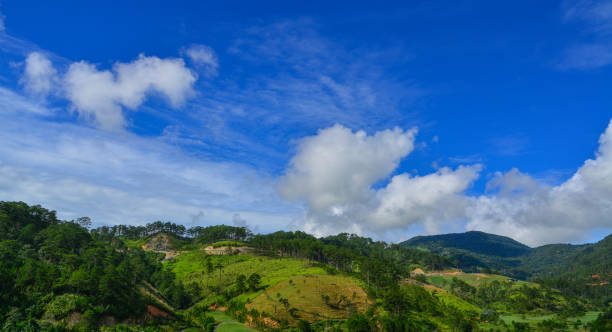 istock Mountain scenery at summer day 1501071054