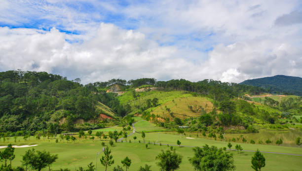 istock Mountain scenery at summer day 1501071162