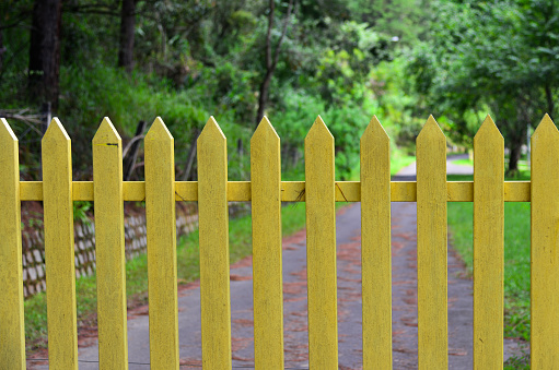 Yellow wooden fence with walkway in pine tree forest.