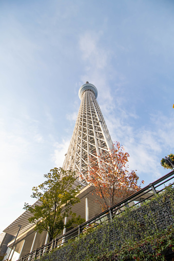 Tokyo, Japan - November 20, 2017: High-rise Tokyo Skytree building photographed from below in the morning with blue sky background.