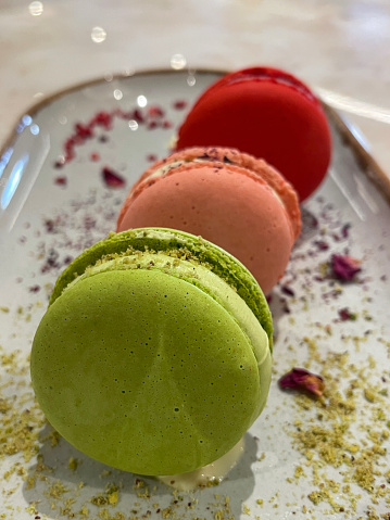 Stock photo showing elevated view a plate containing rows of multi coloured macarons. Pistachio, rose and strawberry flavoured macarons served as a restaurant dessert.