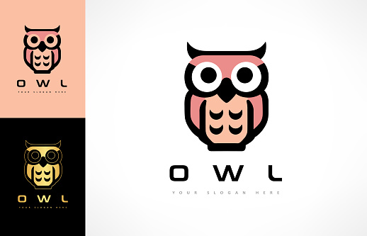 Owl bird illustration vector. Animal design.