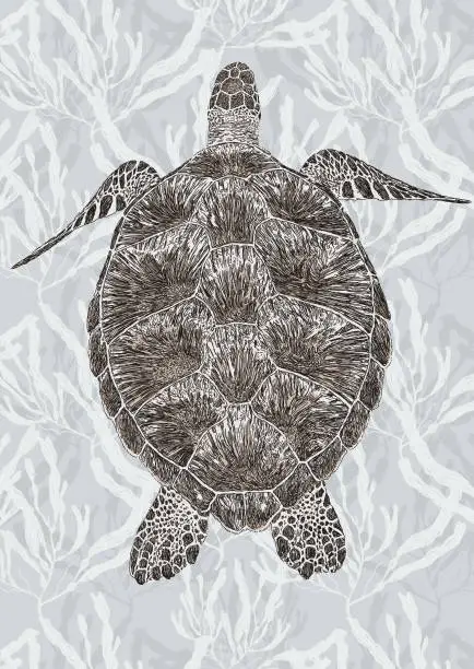 Vector illustration of Giant Turtle Swimming