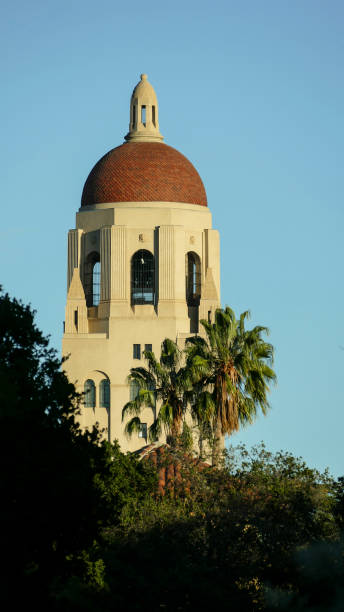 istock Stanford Univeristy Tower 1501091170