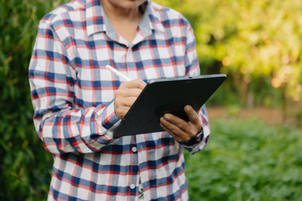 istock Farmer woman using digital tablet computer in field, technology application in agricultural growing activity, 1501111042