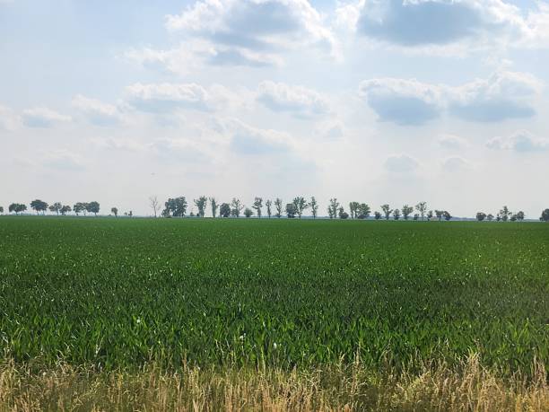 istock A view of agricultural fields. 1501111311