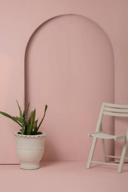 Studio photoshoot background in peach pink with a claypot having a snake plant (Dracaena trifasciata) stock photo