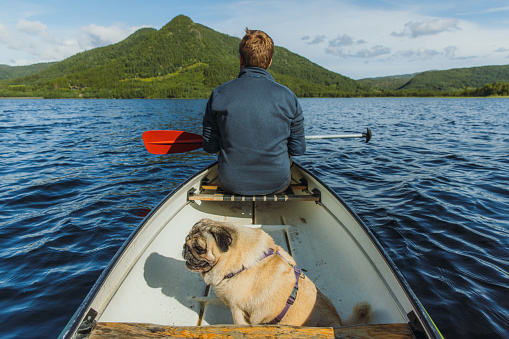 A Male with a cute relaxing pug canoeing in the lake with view of green forest in Nordland county, Northern Norway