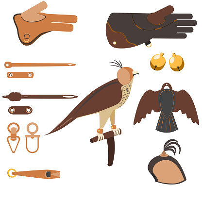 Set of Equipment for falconry and training birds of prey: Falconry Perch, jess, gauntlet, anklets, bait, hood.