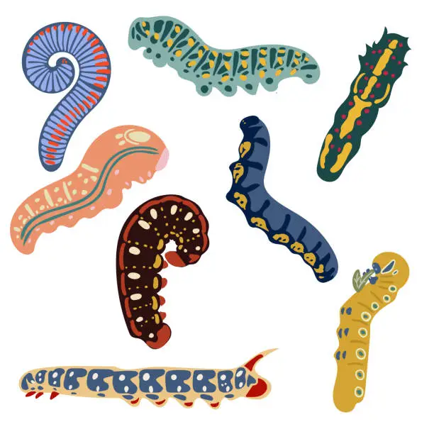 Vector illustration of A set of colorful caterpillars on a white background. Illustration for a postcard, banner, decor