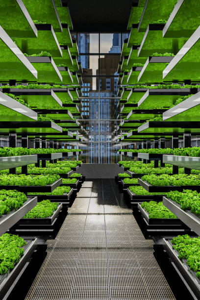 rolnictwo wertykalne w pomieszczeniach w miastach - ilustracja 3d - field vertical agriculture crop zdjęcia i obrazy z banku zdjęć