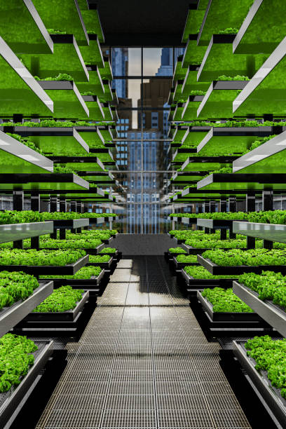 закрытое вертикальное земледелие в городах - 3d-иллюстрация - food laboratory plant biology стоковые фото и изображения