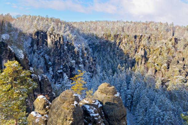 Saxon Switzerland National Park during winter, Germany